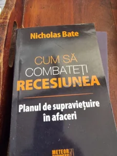 Nicholas Bate - Cum sa combateti recesiunea