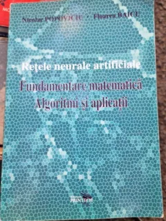 Nicolae Popoviciu, Floarea Baicu - Retele Neurale Artificiale. Fundamentare Matematica. Algoritmi si Aplicatii