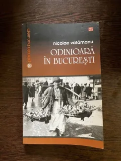 Nicolae Vatamanu - Odinioara in Bucuresti