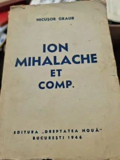Nicusor Graur - Ion Mihalache et Comp.
