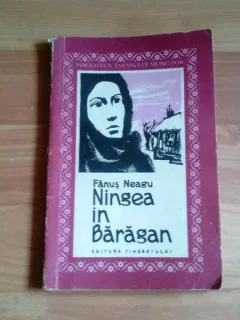 NINGEA IN BARAGAN-FANUS NEAGU