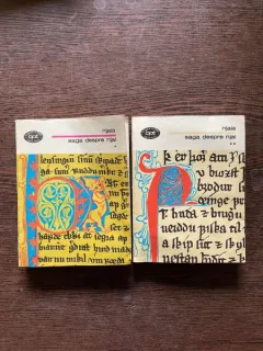 Njala - Saga despre Njal (2 volume)