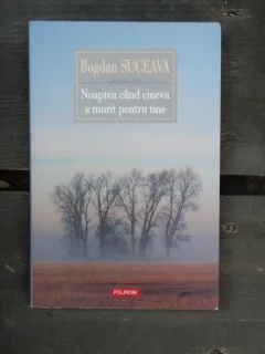NOAPTEA CAND CINEVA A MURIT PENTRU TINE - BOGDAN SUCEAVA