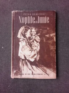 NOPTILE DIN IUNIE - PETRU DUMITRIU