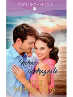 NOROC IN DRAGOSTE - JILL SHALVIS