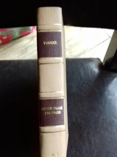 NOTRE DAME DIN PARIS - VICTOR HUGO
