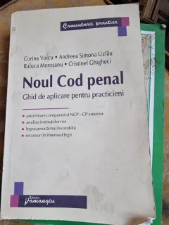 NOUL COD PENAL, GHID DE APLICARE PENTRU PRACTICIENI - CORINA VOICU