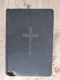 Noul Testament; Cartea Psalmilor