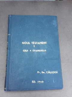 Noul Testament, cele 4 Evanghelii