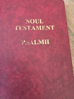 Noul Testament - Psalmii