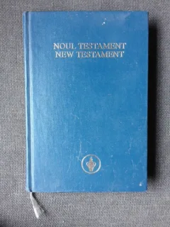 NOUL TESTAMENT/NEW TESTAMENT, EDITIE BILINGVA