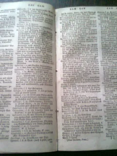 NOUVEAU DICTIONNAIRE DES DEUX LANGUES, FRANCOIS ALLEMAND 1789- FRANCOIS ROUX