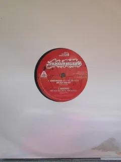 NRI - Dangermouse (He's The Greatest) 12