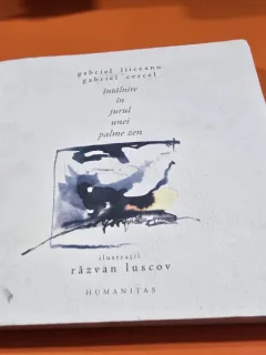 Întâlnire în jurul unei palme zen - Gabriel Liiceanu, Gabriel Cercel