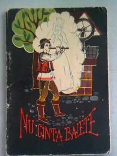 NU CANTA BAIETE  (CARTE DE POVESTI)