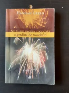 NU TI-AM PROMIS NICIODATA O GRADINA DE TRANDAFIRI - HANNAH GREEN