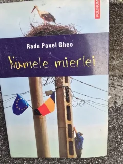 Numele mierlei - Radu Paul Gheo