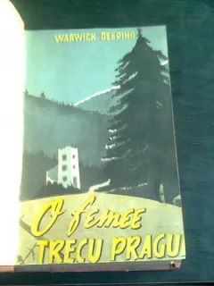 O femeie trecu pragul - Warwick Deeping