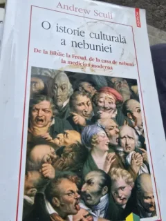 O Istorie Culturala a Nebuniei - Andrew Scull