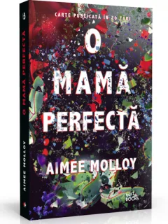 O MAMA PERFECTA - AIMEE MOLLOY