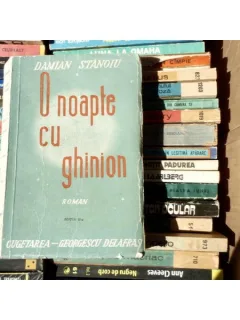 O noapte cu Ghinion , Damian Stanoiu