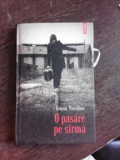O PASARE PE SARMA - IOANA NICOLAIE