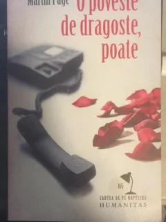 O poveste de dragoste, poate - Martin Page
