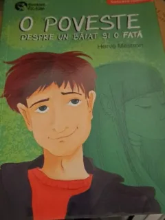 O poveste despre un băiat și o fată de Herve Mestron
