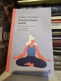 O schimbare reala. Vindecarea noastra si alumii prin mindfulness - Sharon Salzberg