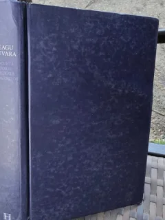 O scurta istorie ilustrata a romanilor - Neagu Djuvara