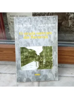 O strada oarecare din Bucuresti , Irina Nicolau , Ioana Popescu , 1999