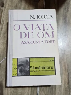 O viata de om asa cum a fost - N. Iorga