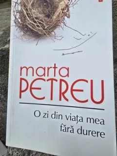 O zi din viata mea fara durere - Marta Petreu