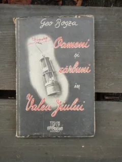 OAMENI SI CARBUNI IN VALEA JIULUI - GEO BOGZA