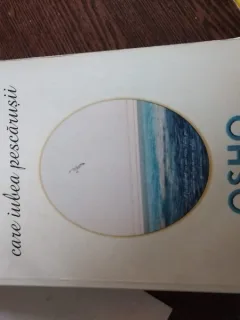 Omul care iubrea pescarusii - OSHO