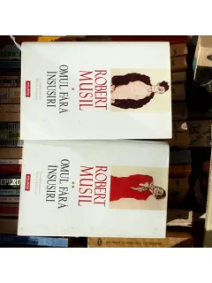Omul fara insusiri , Robert Musil , 2008 (doua volume)