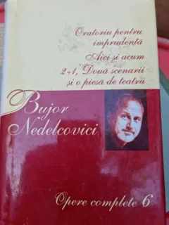 OPERE COMPLETE 6 - BUJOR NEDELCOVICI