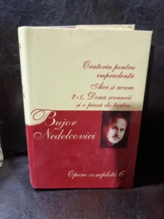 OPERE COMPLETE 6 - BUJOR NEDELCOVICI