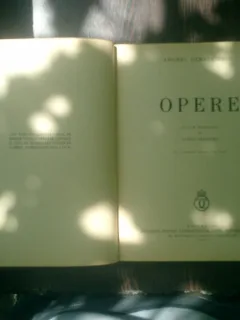 Opere editie ingrijita de Ovidiu Papadima - Anghel Demetriescu