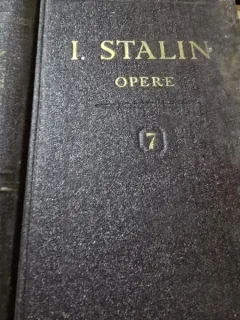 Opere - I. Stalin vol.7