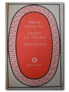ORASUL CU SALCAMI. ACCIDENTUL - MIHAIL SEBASTIAN