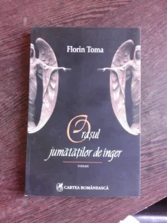 ORASUL JUMATATILOR DE INGERI - FLORIN TOMA