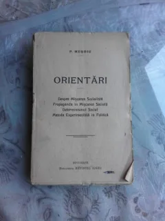 ORIENTARI , P. MUSOIU