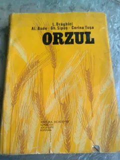 Orzul - L. Draghici, Al. Bude, Gh. Sipos, Corina Tusa