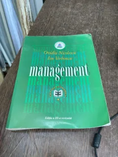 Ovidiu Nicolescu - Management