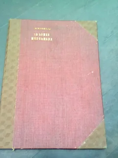 PACEA SI PUNCTELE NEVRALGICE ALE LUMII. LUMEA MUSULMANA - N.N. VASILIU