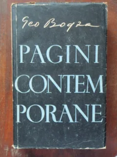 PAGINI CONTEMPORANE - GEO BOGZA