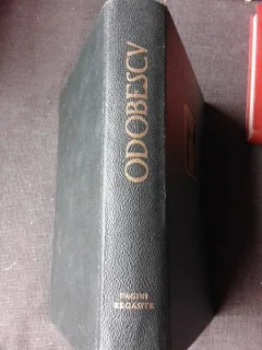 PAGINI REGASITE - AL. ODOBESCU