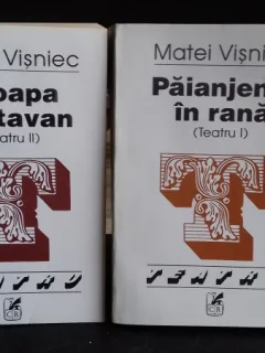PAIANJENUL DIN RANA. GROAPA DIN TAVAN - MATEI VISNIEC
