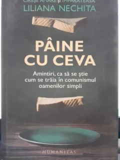Paine cu ceva - Liliana Nechita